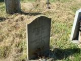 image of grave number 336567
